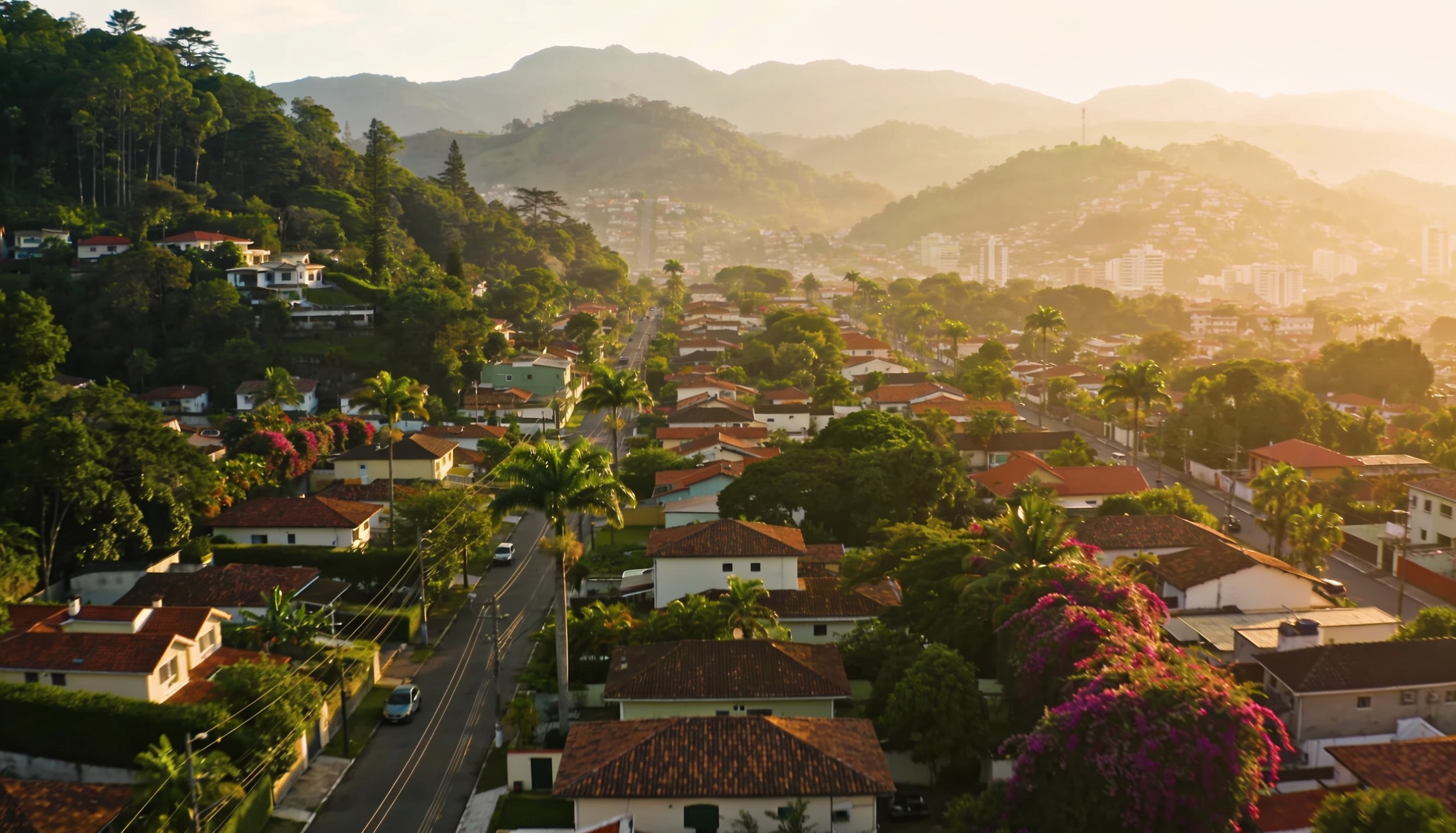 Vista aérea da Zona Norte de Joinville, mostrando vegetação subtropical e bairros residenciais